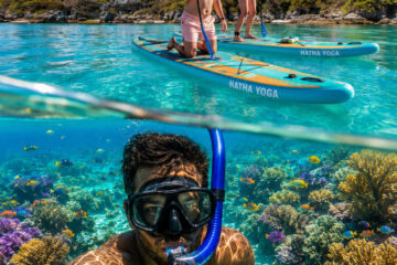 sup-snorkel-safari